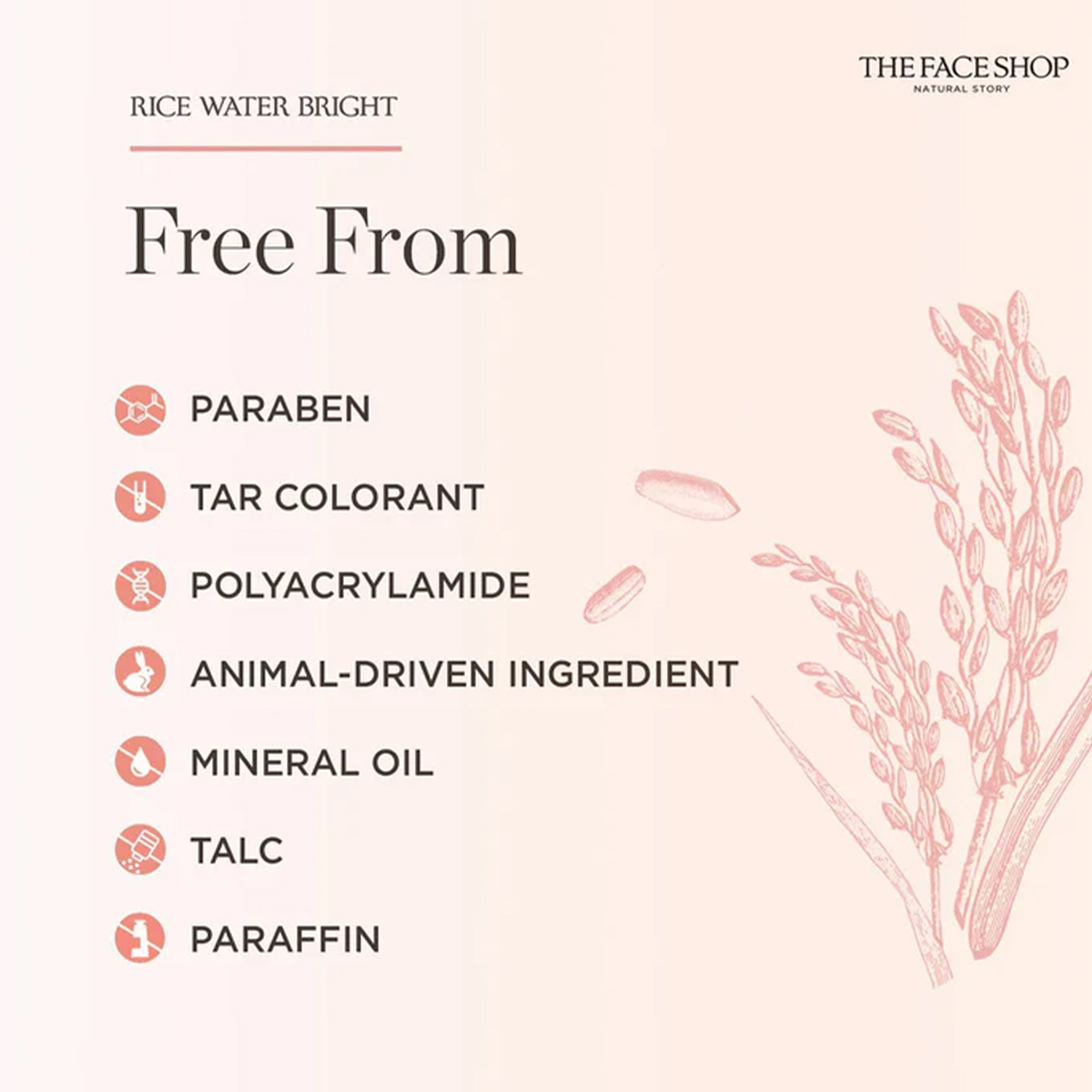 THE FACE SHOP RICE WATER BRIGH - Luxury Skincare Shop recension och pris
